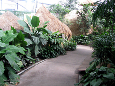 Aquapark Tropical Islands 2010