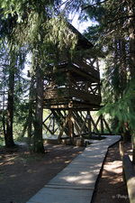 Dřevěná trámová dvoupatrová rozhledna v Jezerních slatích