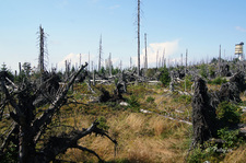 Pohled na stále holé šumavské vrcholy po orkánu Kirill z roku 2007