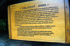 Informační tabule o vidlicovém smrku