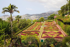 Botanical Garden, Funchal