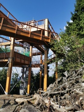 Stezka v korunách stromů s prosklenou vyhlídkovou plošinou na Pustevnách ve výšce 1 099 m.n.m.
